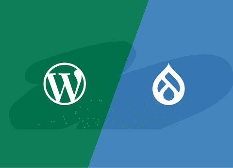 WordPress vs. Drupal: How to Choose a CMS for Your Business