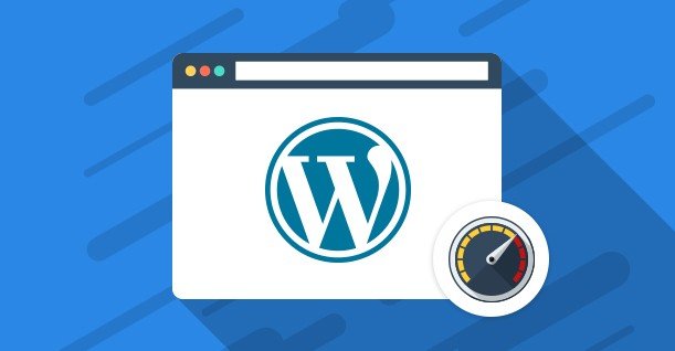 professional website design company