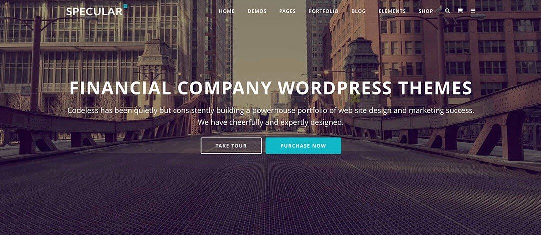 professional website design company