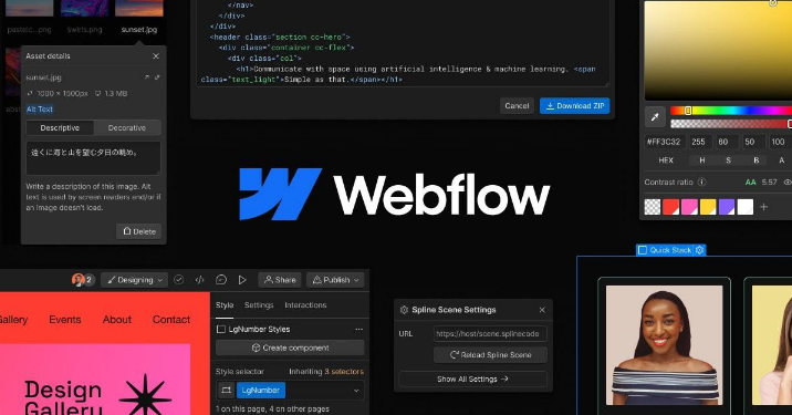 webflow for whom